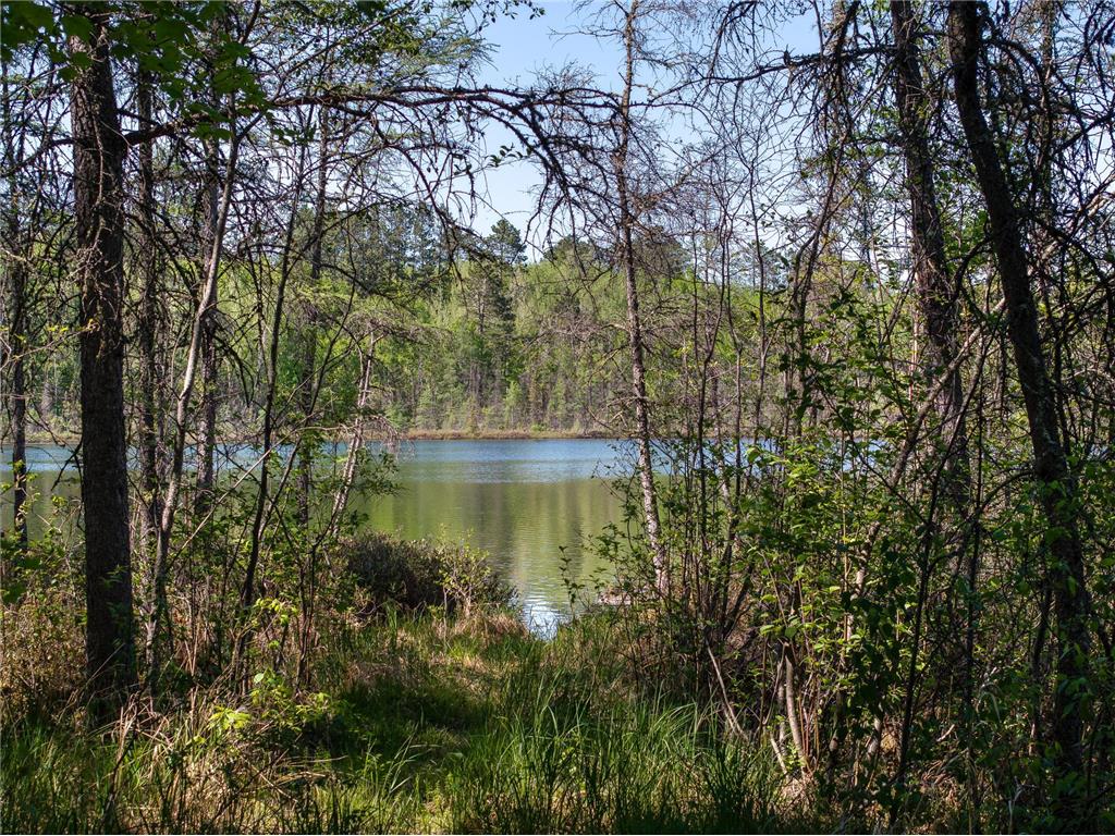 9064 Peppard Road Britt MN 55710 - Auto 7089605 image19