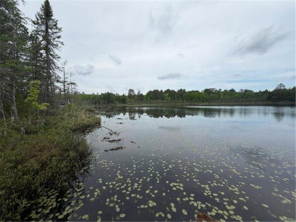 9064 Peppard Road Britt MN 55710 - Auto 7089605 image23