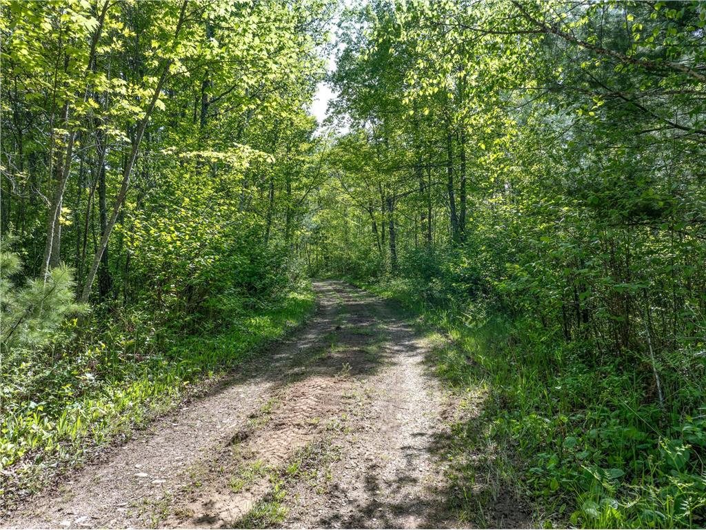 9064 Peppard Road Britt MN 55710 - Auto 7089605 image24