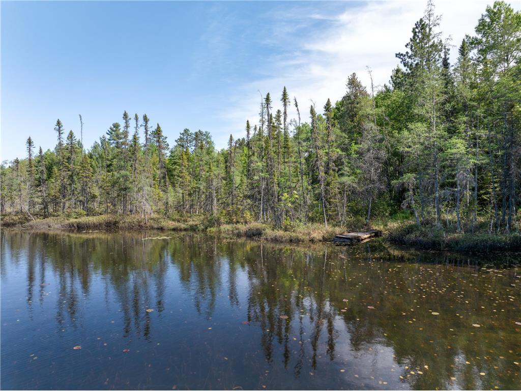 9064 Peppard Road Britt MN 55710 - Auto 7089605 image4