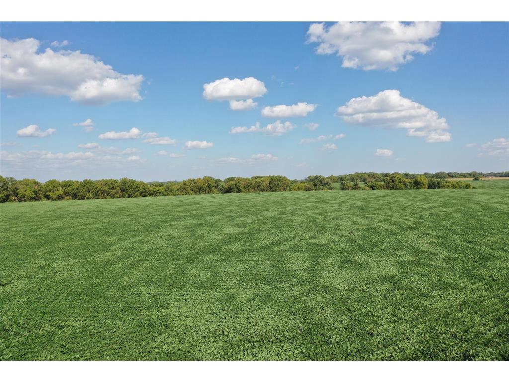 9065 Hwy 7 SW Montevideo MN 56265 6272585 image1