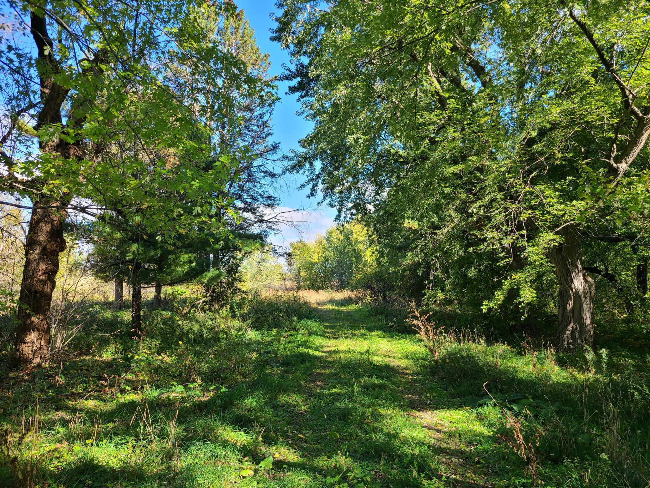 907 190th Street Hammond WI 54015 6110102 image1