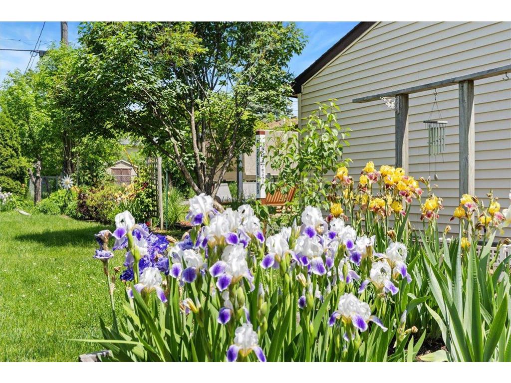 907 California Avenue W Saint Paul MN 55117 7083702 image37