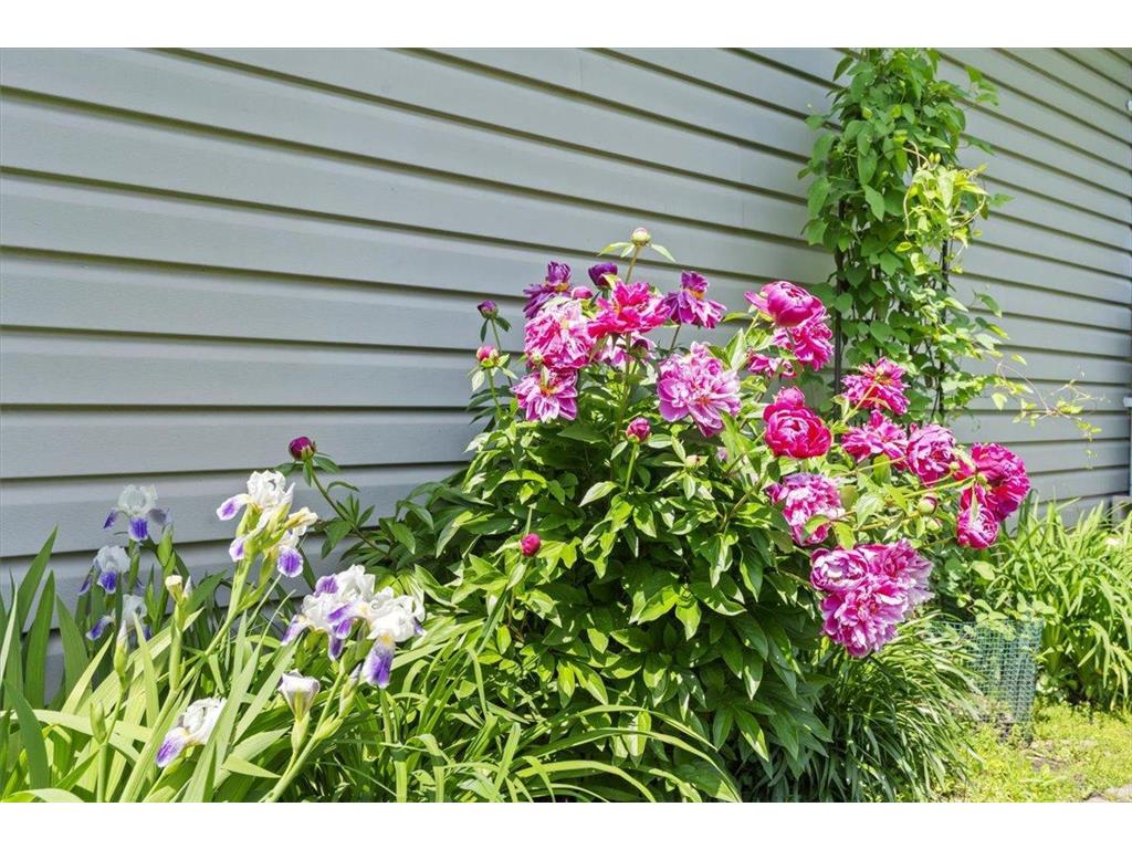 907 California Avenue W Saint Paul MN 55117 7083702 image38