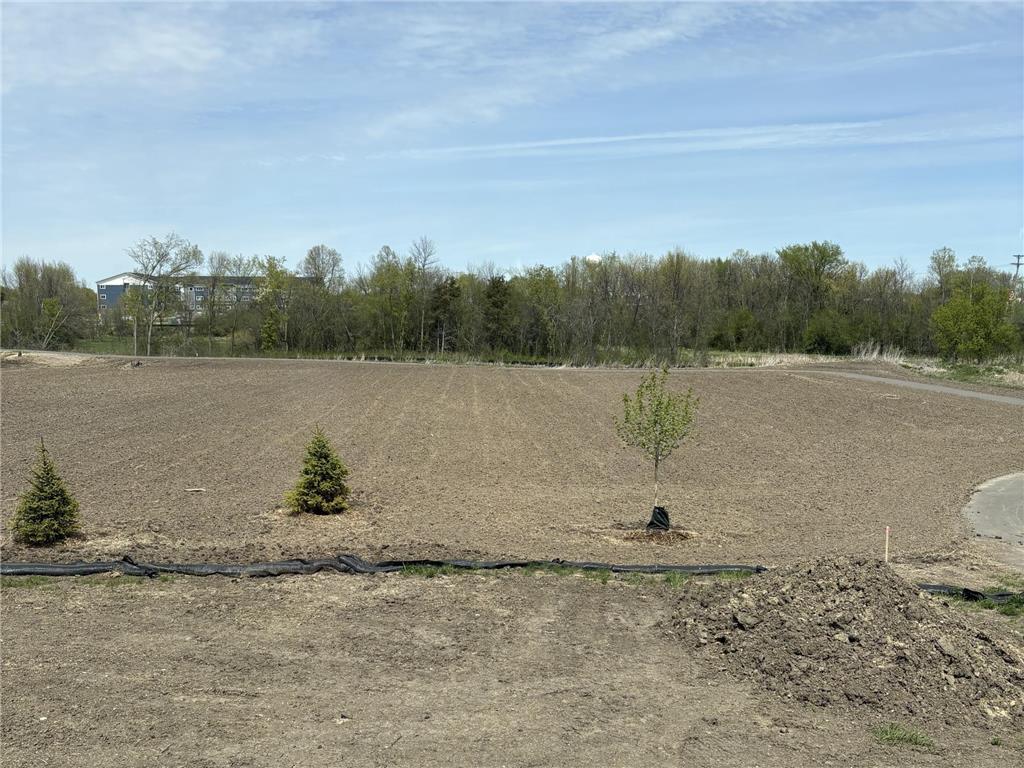 907 Harvest Trail Buffalo MN 55313 7034940 image2