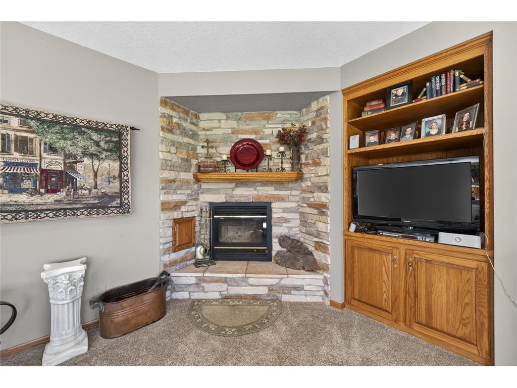 907 River Bluff Road SE Mazeppa MN 55956 6803524 image32