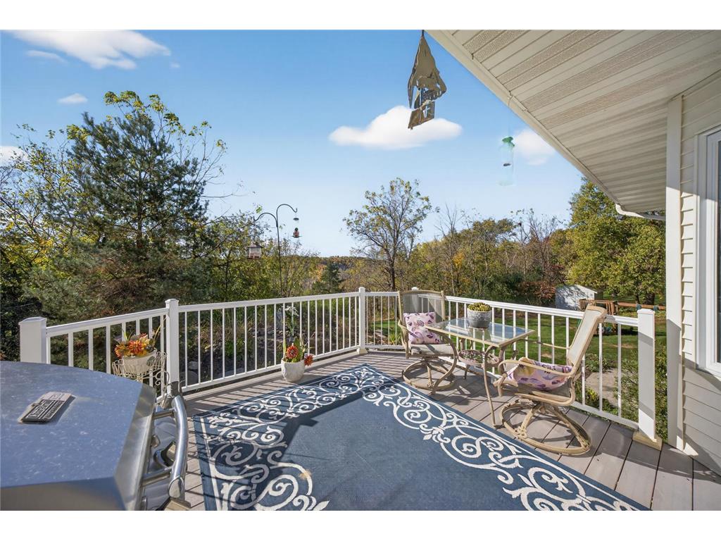 907 River Bluff Road SE Mazeppa MN 55956 6803524 image4