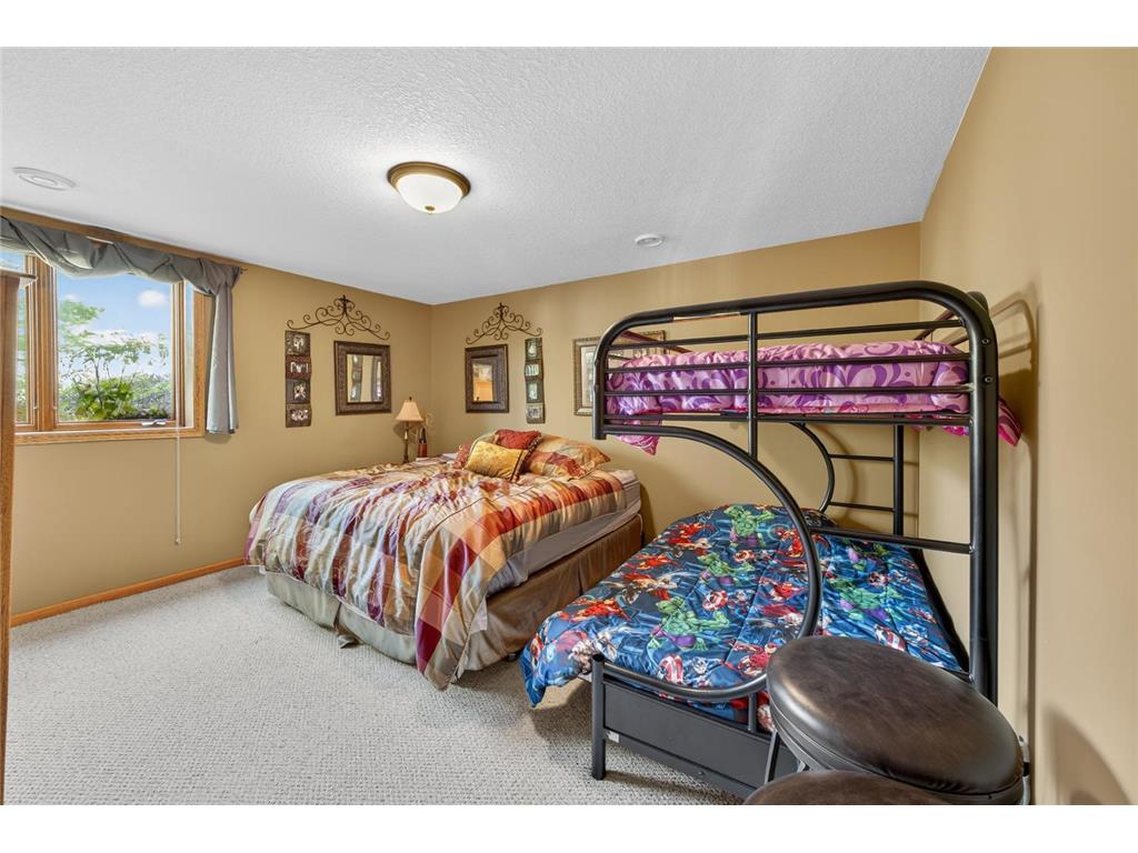 907 River Bluff Road SE Mazeppa MN 55956 6803524 image45