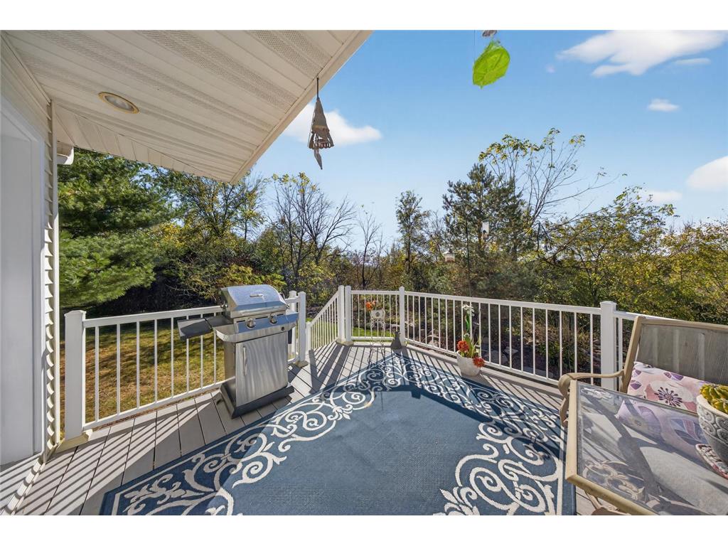 907 River Bluff Road SE Mazeppa MN 55956 6803524 image48