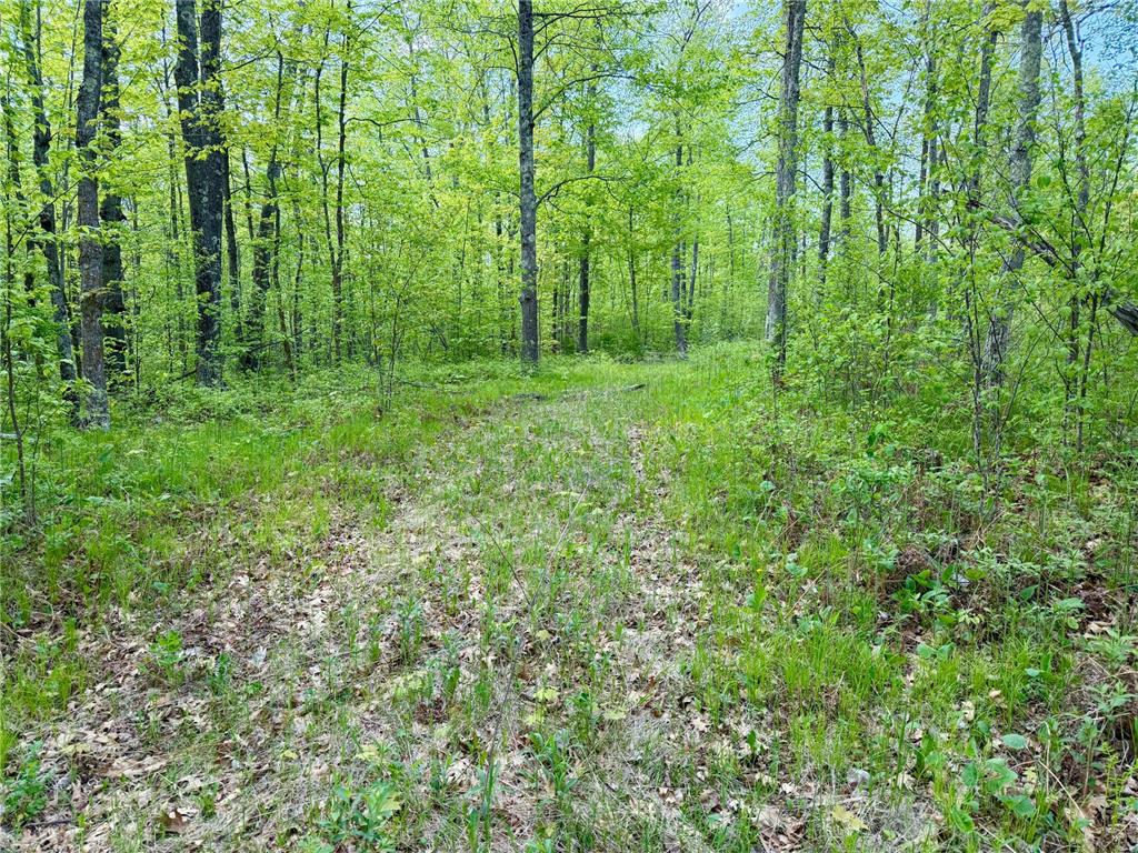 9072 County 8 NE Remer MN 56672 7078274 image2