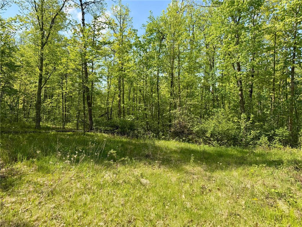 9072 County 8 NE Remer MN 56672 7078274 image5