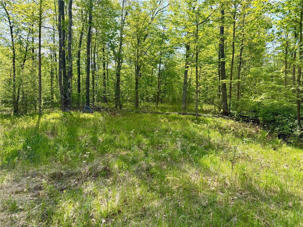 9072 County 8 NE Remer MN 56672 7078274 image6
