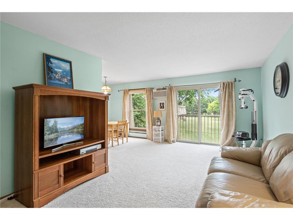 908 9th Avenue S #6 Hopkins MN 55343 6404320 image1