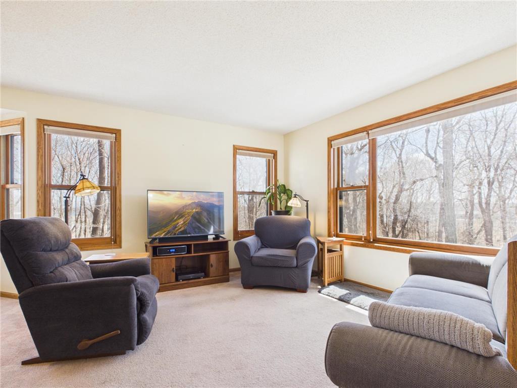 9083 State Highway 114 SW Lake Mary Twp MN 56308 7058068 image7