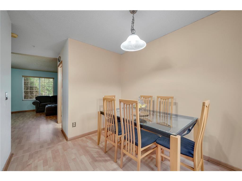 9084 Terra Verde Trail Eden Prairie MN 55347 7099543 image14