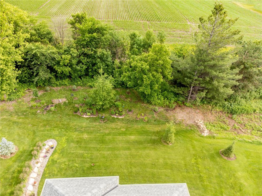 9088 62nd Street S Cottage Grove MN 55016 7094046 image30