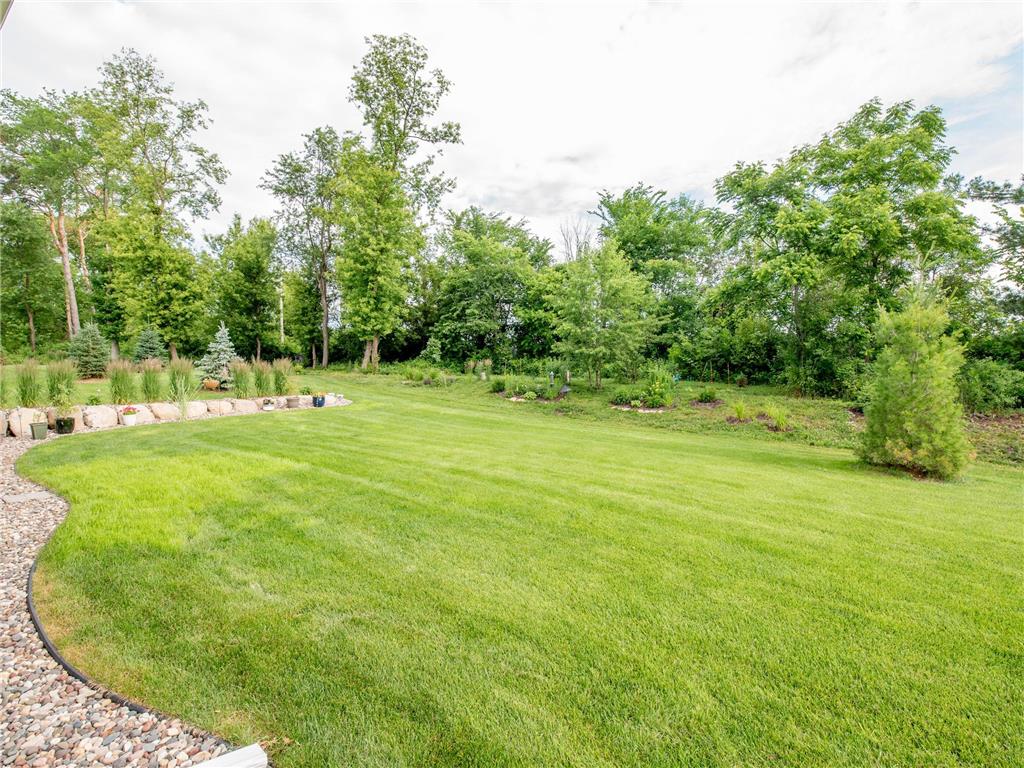 9088 62nd Street S Cottage Grove MN 55016 7094046 image33