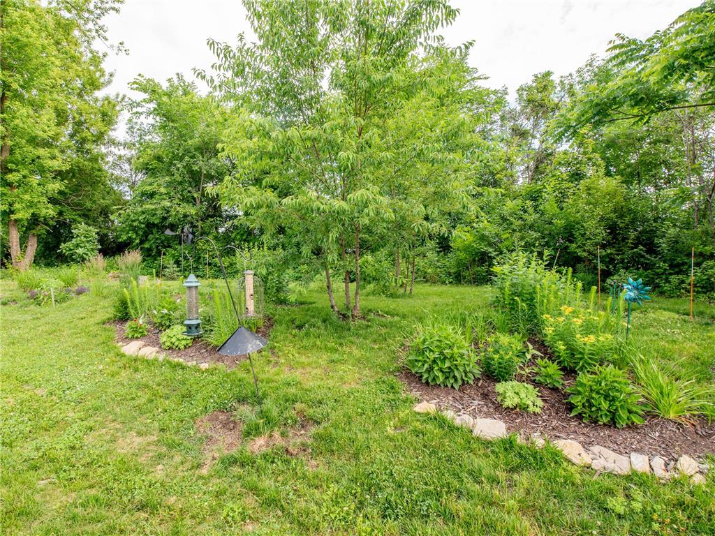 9088 62nd Street S Cottage Grove MN 55016 7094046 image36