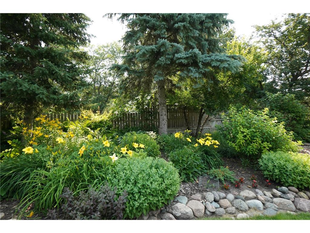 909 16th Street SW Willmar MN 56201 7045739 image64