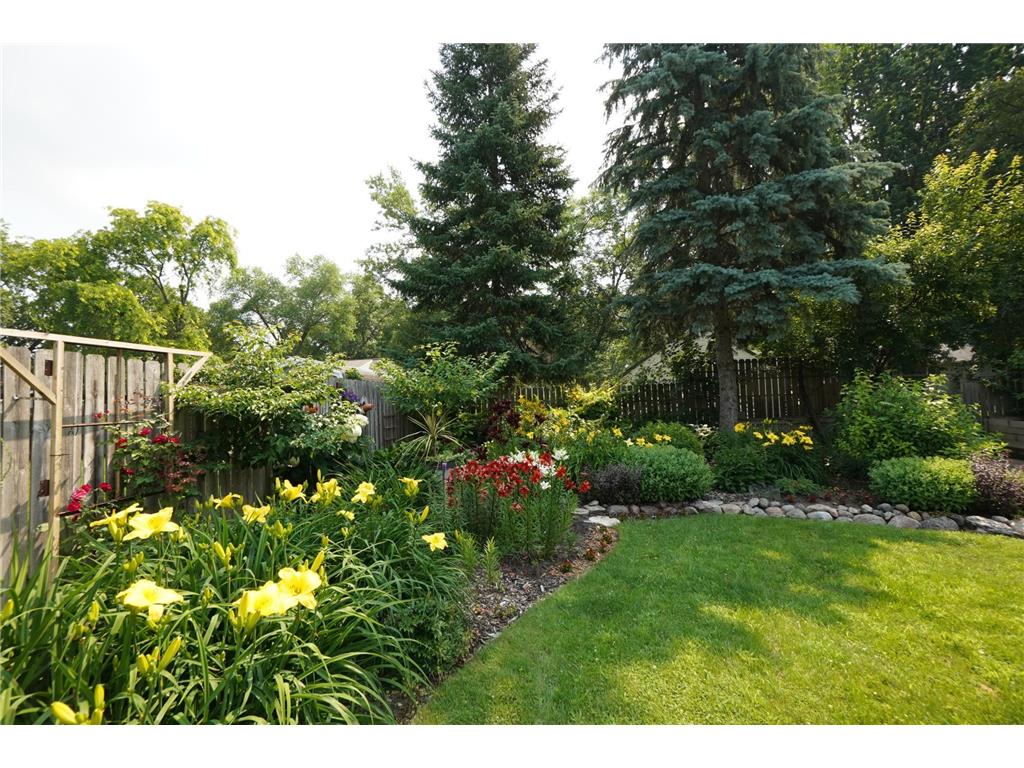 909 16th Street SW Willmar MN 56201 7045739 image9