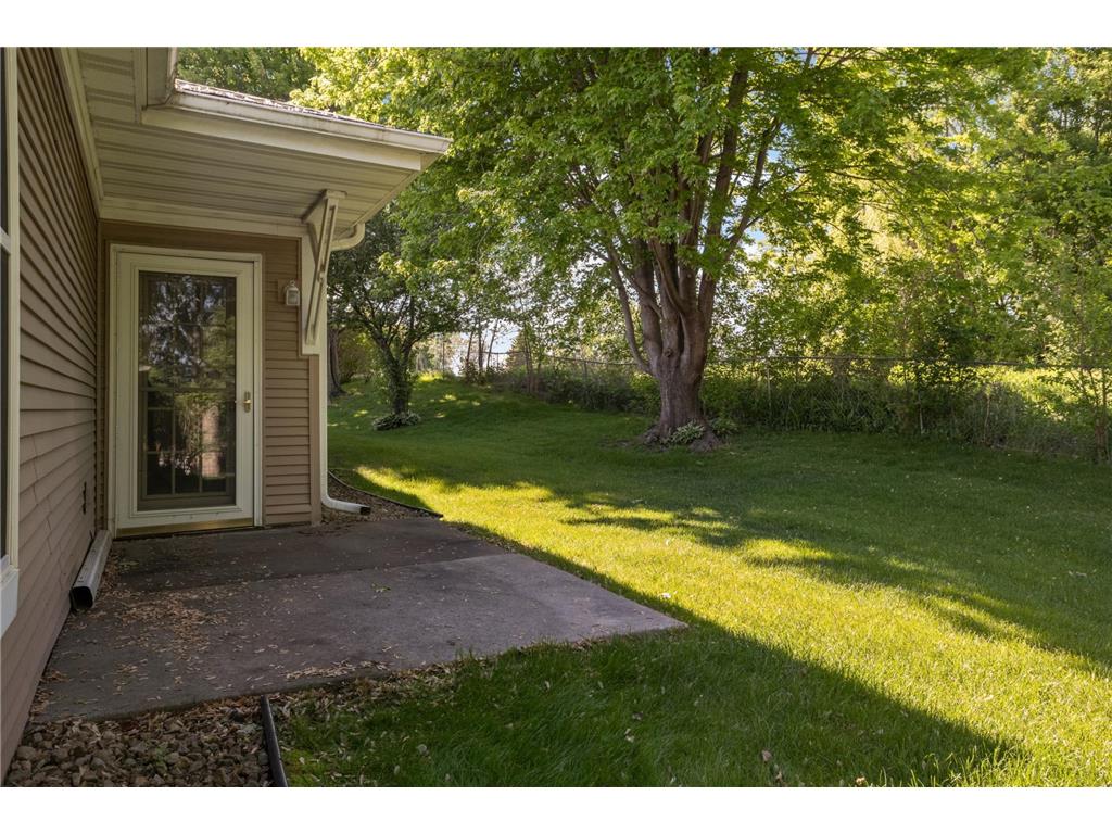 909 Bahls Drive Hastings MN 55033 7082851 image17
