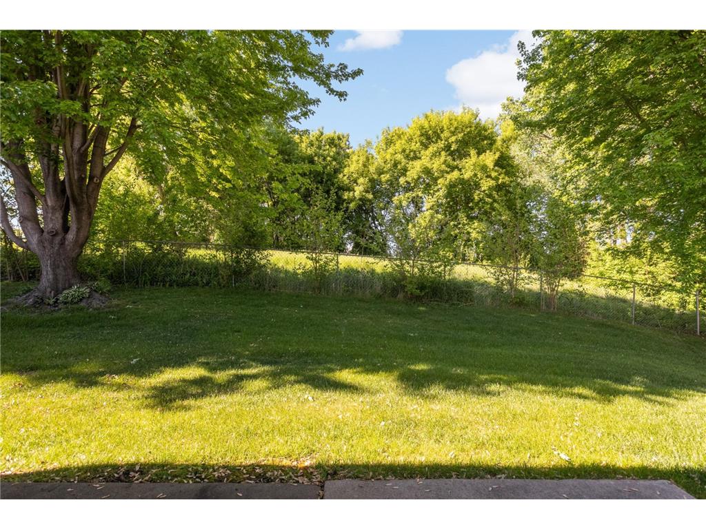 909 Bahls Drive Hastings MN 55033 7082851 image18