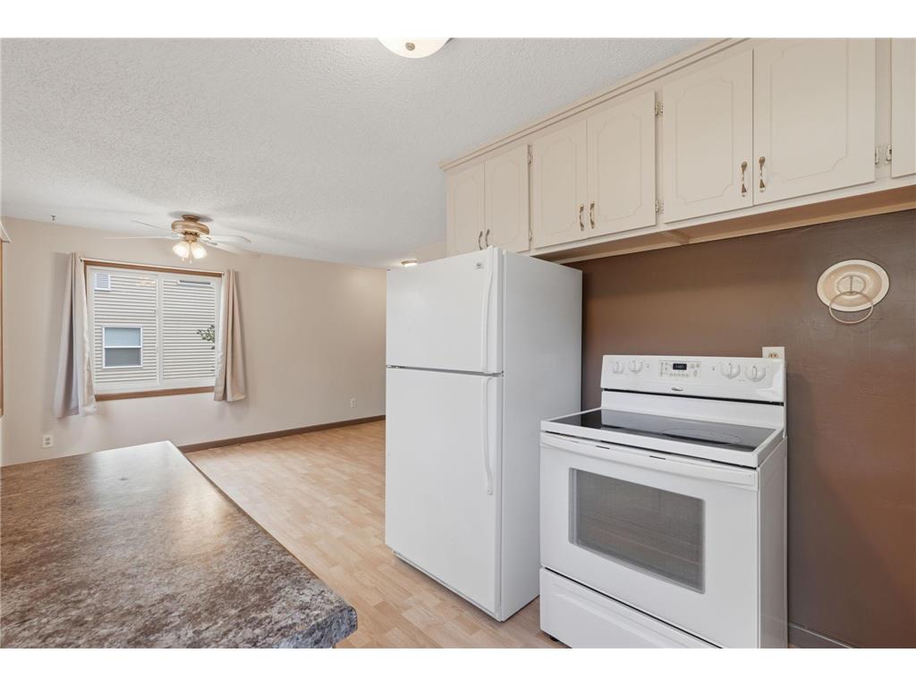 909 Selby Avenue Saint Paul Park MN 55071 7099685 image10