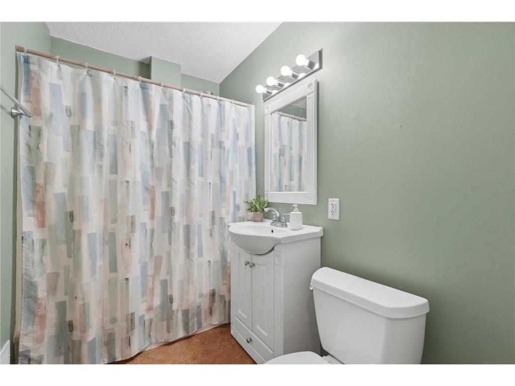 909 Selby Avenue Saint Paul Park MN 55071 7099685 image17
