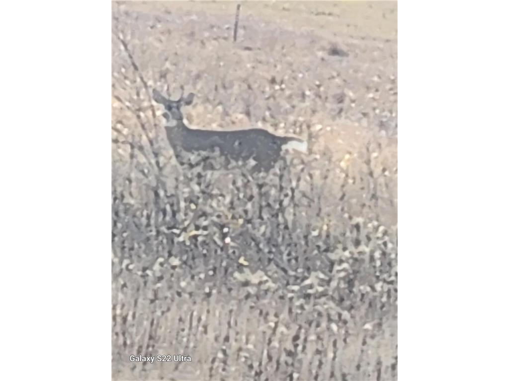 9091 52nd Street SW Poplar Twp MN 56481 7011263 image40