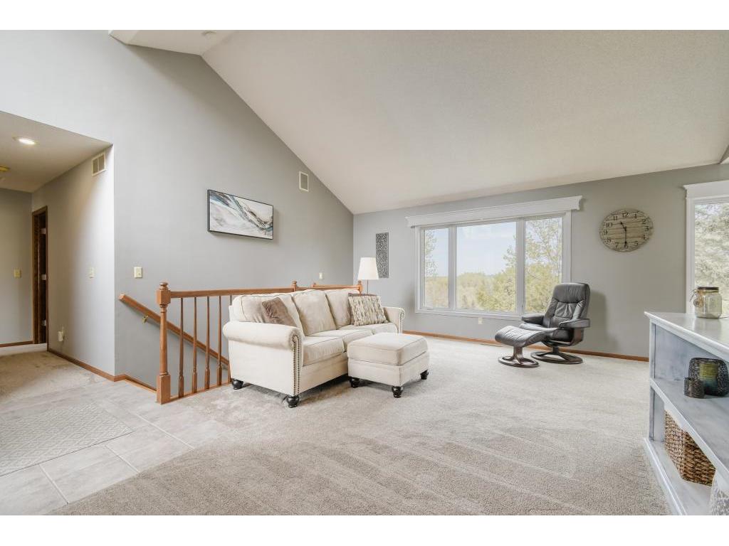 9096 Jergen Avenue S Cottage Grove MN 55016 7067582 image6