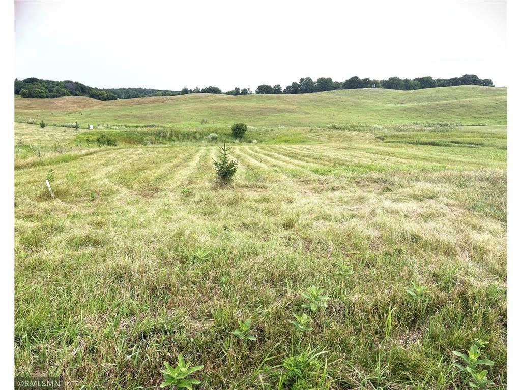 910 162nd Avenue New Richmond WI 54017 7114867 image1