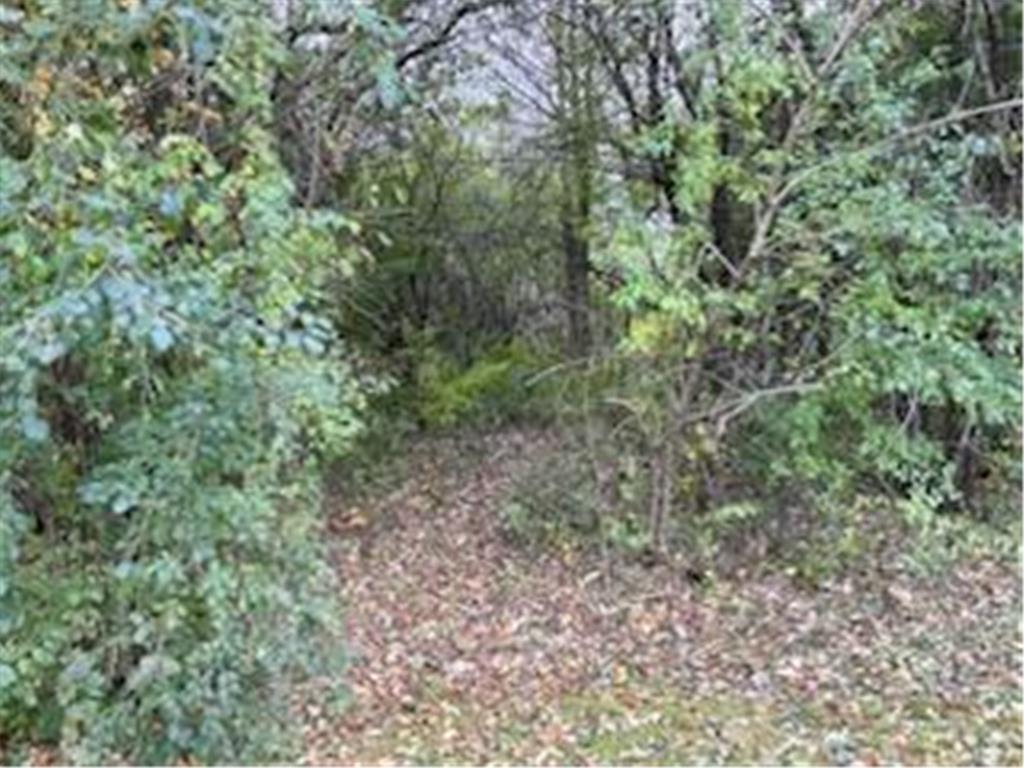 910 1st Street #TRL 38 Glenwood City WI 54013 6812151 image20