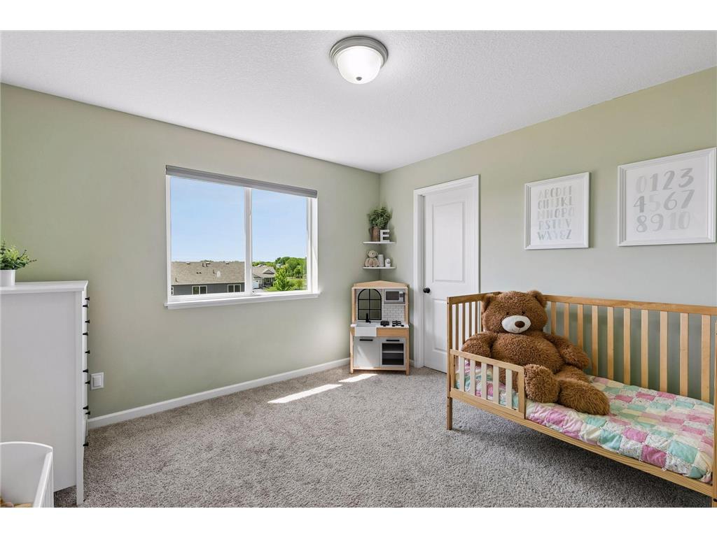 910 Emily Court NE Montgomery MN 56069 7061716 image15