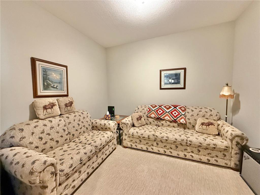 910 Lake Forest Circle Detroit Lakes MN 56501 6786149 image14