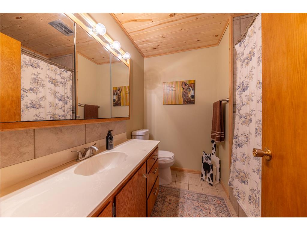 910 SW 4th Avenue Grand Rapids MN 55744 7078768 image15