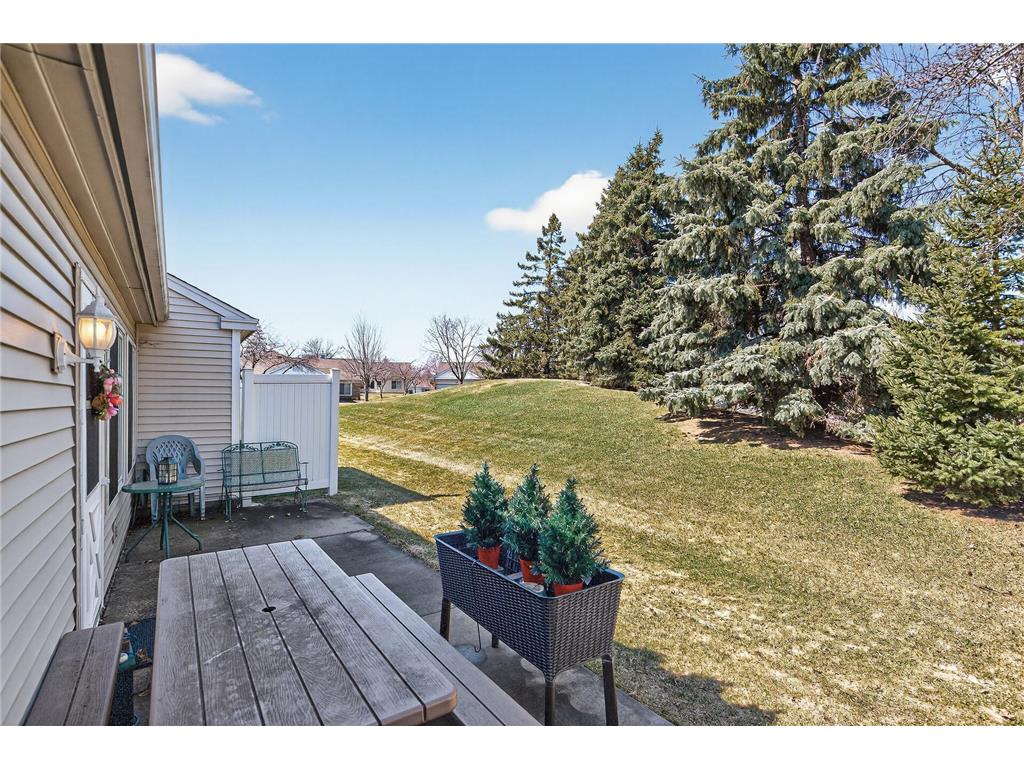 9100 Prairieview Lane N Champlin MN 55316 7038402 image37