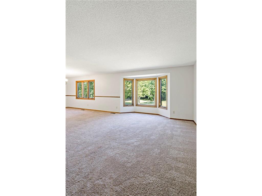 9101 Shannon Lane Corcoran MN 55340 7109973 image10