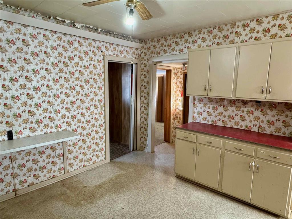 911 Maple Avenue Bird Island MN 55310 7024241 image8