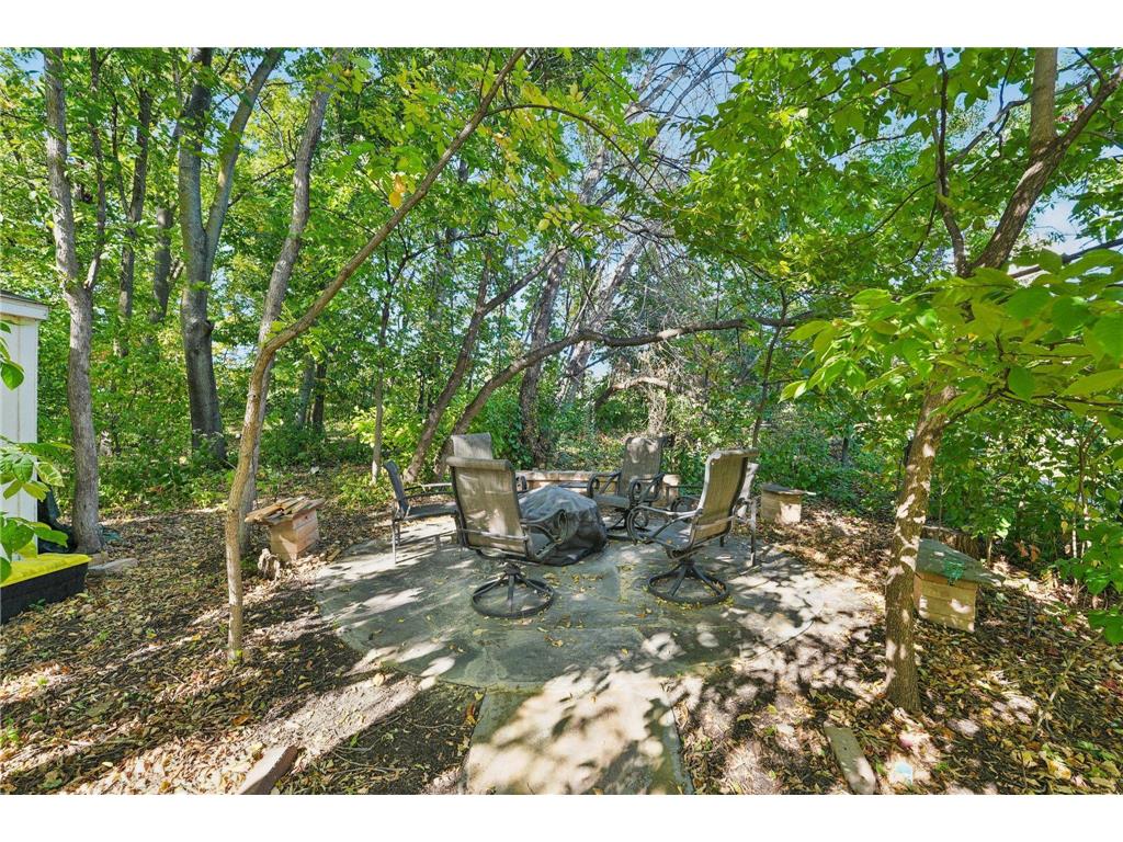 9112 Woodhill Drive Savage MN 55378 7049309 image33