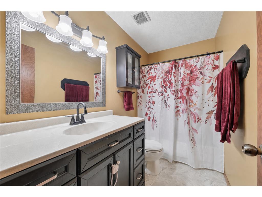 9115 Janero Avenue S Cottage Grove MN 55016 7076706 image10