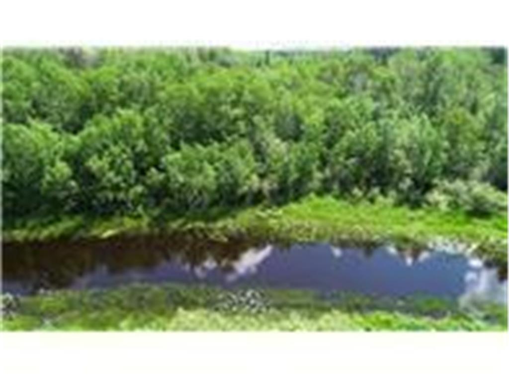 9119 Tee Road Angora Twp MN 55703 - Rice River 6610219 image1