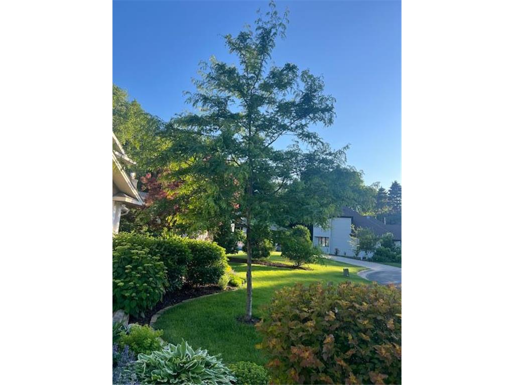 912 Adeline Court Mendota Heights MN 55118 6634815 image1