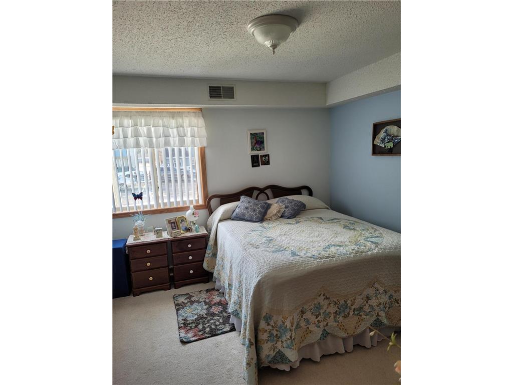 912 Hawthorne Street #104 Alexandria MN 56308 7007662 image6