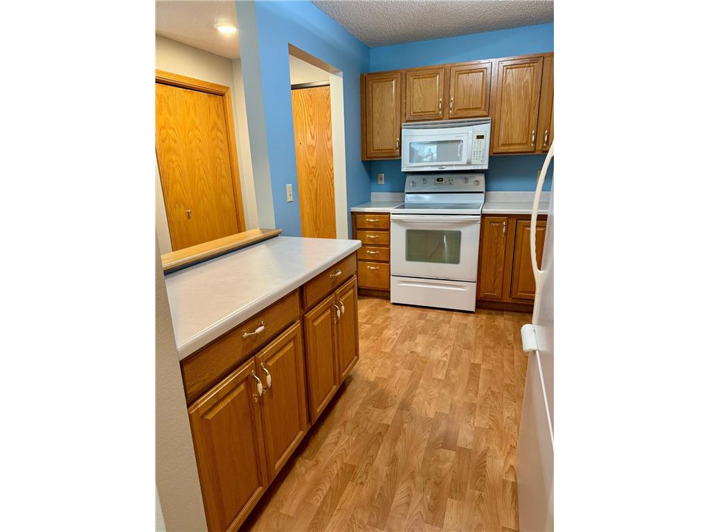 912 Hawthorne Street #106 Alexandria MN 56308 6809930 image4