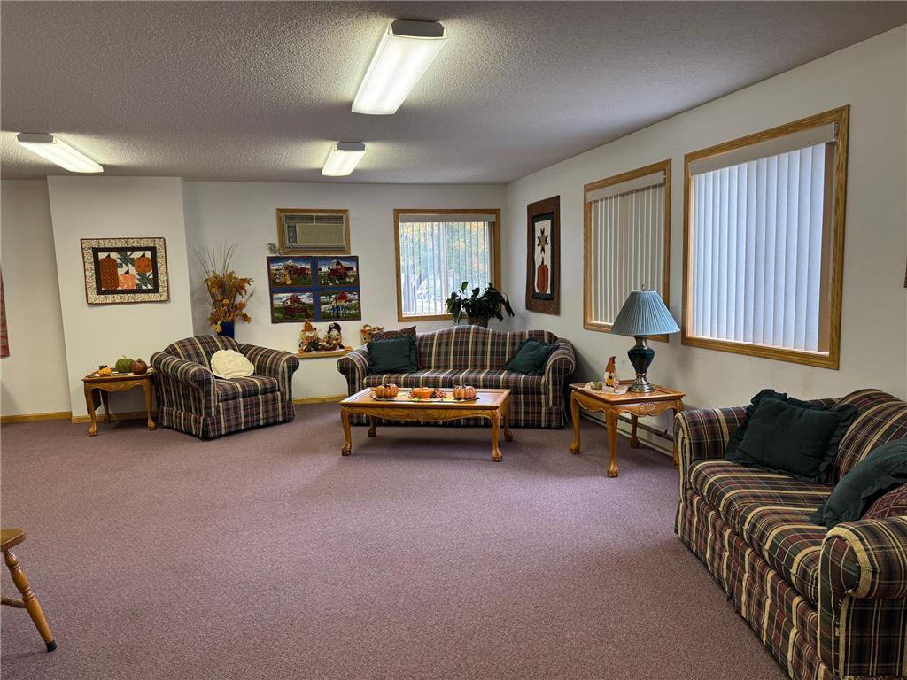 912 Hawthorne Street #106 Alexandria MN 56308 7064655 image23