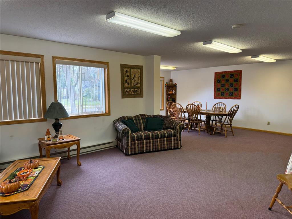 912 Hawthorne Street #106 Alexandria MN 56308 7064655 image25