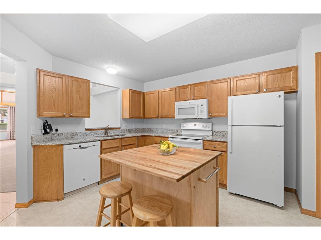 9120 Prairieview Lane N Champlin MN 55316 7076057 image12