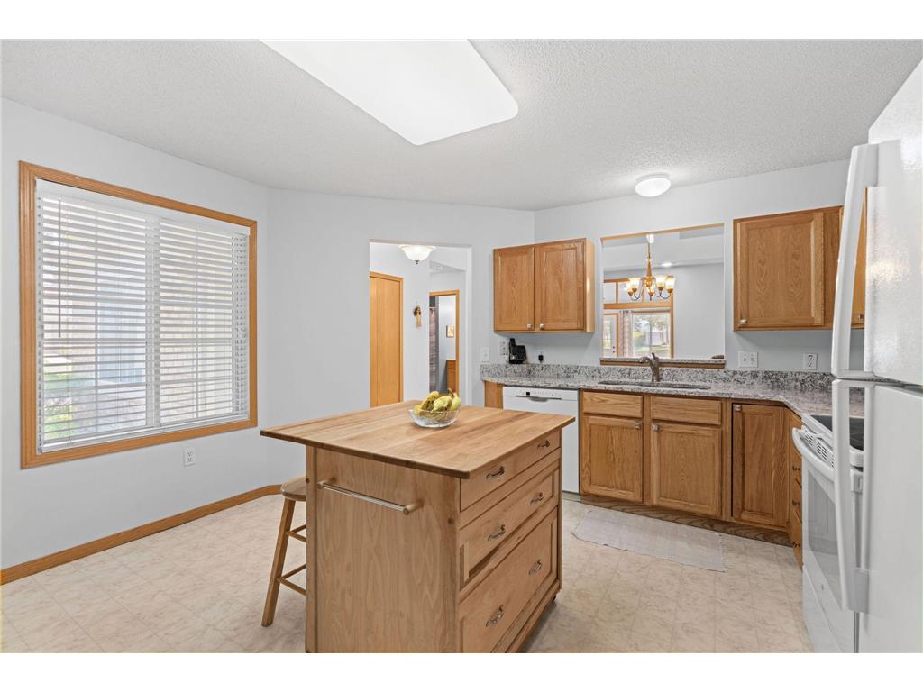 9120 Prairieview Lane N Champlin MN 55316 7076057 image13