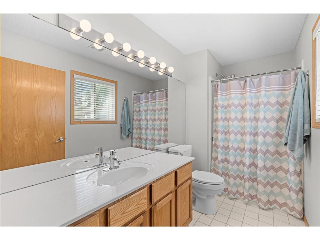 9120 Prairieview Lane N Champlin MN 55316 7076057 image19