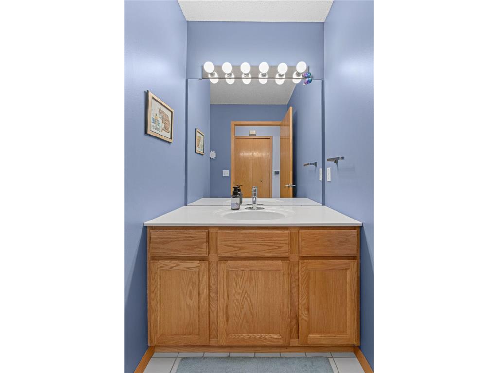9120 Prairieview Lane N Champlin MN 55316 7076057 image23